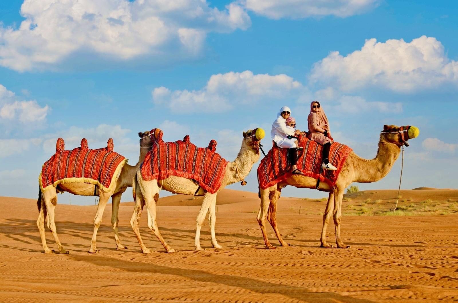 اللوائح الجديدة للنقل السياحي 2025: دليل المهنيين الشامل